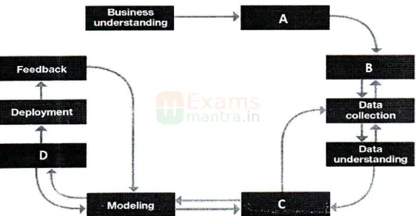 class-12-ai-843-previous-year-question-paper-2023-compartment-with-solution