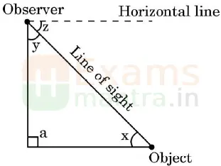 CBSE-Class-10-Maths-Basic-241-Previous-Year-QP-2024-25-q12
