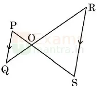 CBSE-Class-10-Maths-Basic-241-Previous-Year-QP-2024-25-q22a