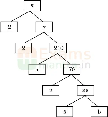 CBSE-Class-10-Maths-Basic-241-Previous-Year-QP-2024-25-q26