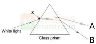 cbse-class-10-science-sqp-solution-2025-q14