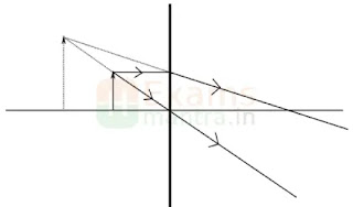 cbse-class-10-science-sqp-solution-2025-q24