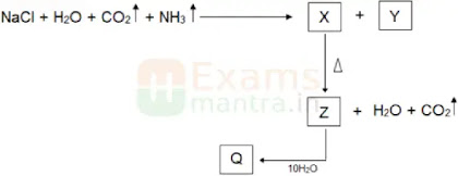 cbse-class-10-science-sqp-solution-2025-q28