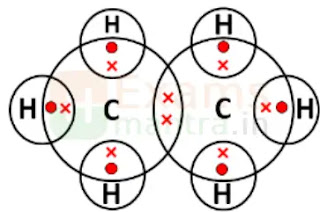 cbse-class-10-science-sqp-solution-2025-q34