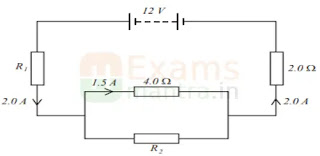 cbse-class-10-science-sqp-solution-2025-q36