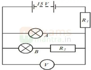 cbse-class-10-science-sqp-solution-2025-q36a