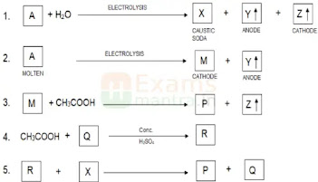 cbse-class-10-science-sqp-solution-2025-q37