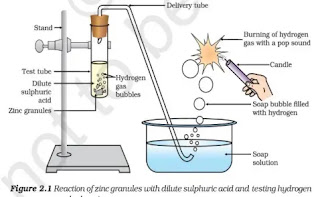 cbse-class-10-science-sqp-solution-2025-q37a