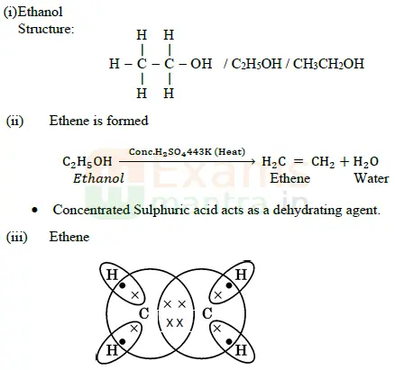 CBSE-Class-10-Science-Previous-Year-Question-Paper-2023-24-Download-a34b