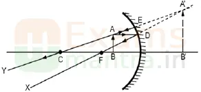 CBSE-Class-10-Science-Previous-Year-Question-Paper-2023-24-Download-a39a