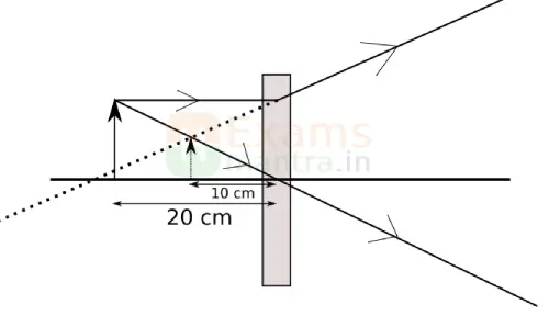 cbse-class-10-science-086-sqp-2026-with-solution-q33
