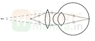 cbse-class-10-science-086-sqp-2026-with-solution-q35