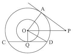 q-29-cbse-class-10-maths-basic-question-paper-2023-24-set-1